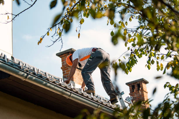 Best Storm Damage Roof Repair  in Spring Mount, PA