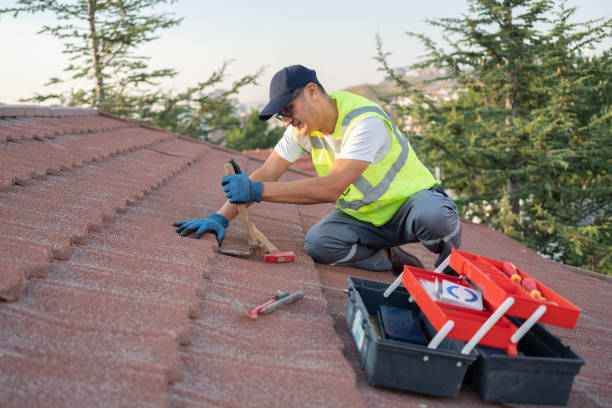 Best Gutter Installation and Roofing  in Spring Mount, PA